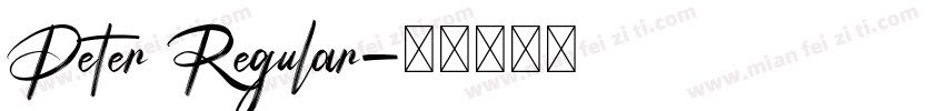 Peter Regular字体转换